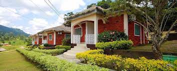 Exploration et Détente au Centre Touristique: Vivez une Aventure Inoubliable