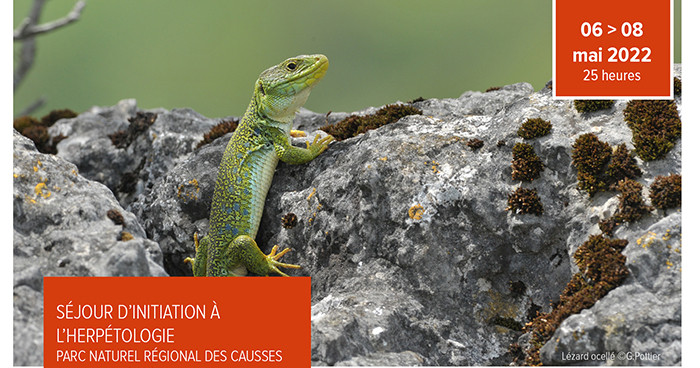 Explorez les Richesses de Votre Région lors d’un Séjour Régional Inoubliable