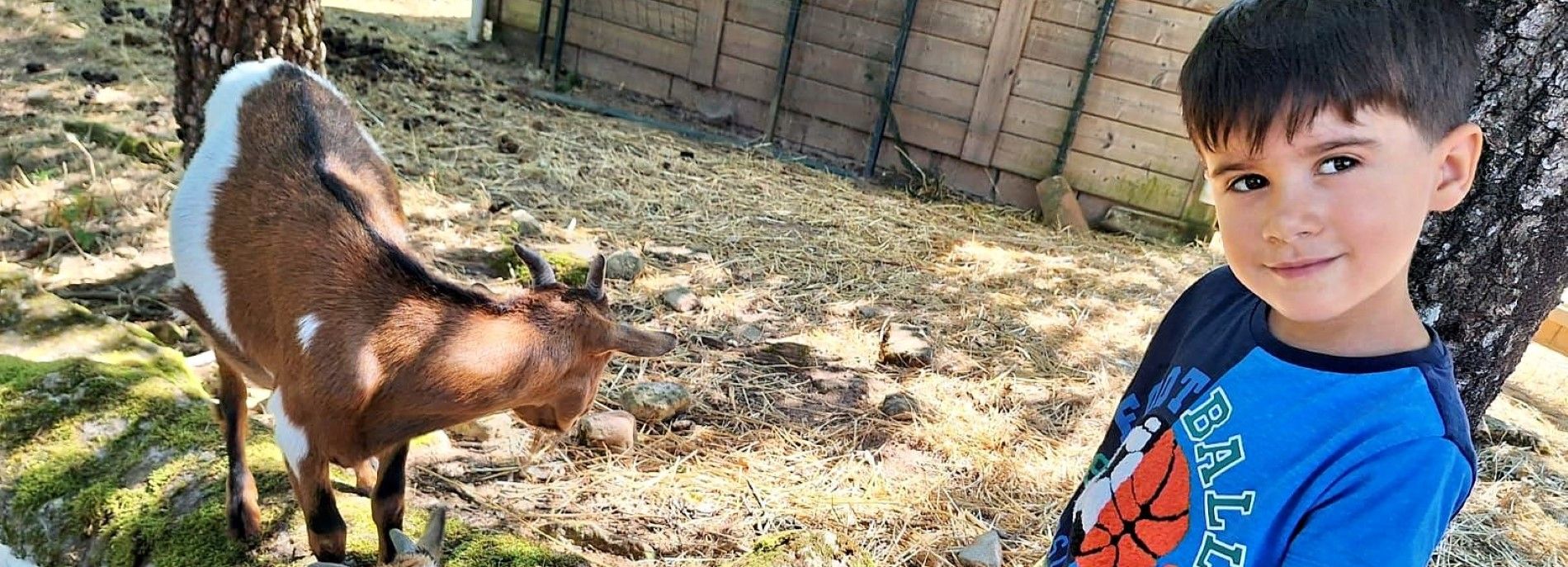 Explorez le Monde à Travers des Vacances Thématiques Inoubliables