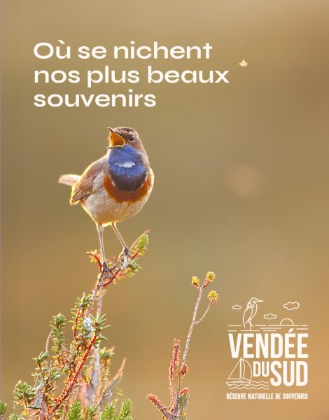 Exploration Enrichissante avec les Guides Touristiques : Votre Clé pour Découvrir le Monde