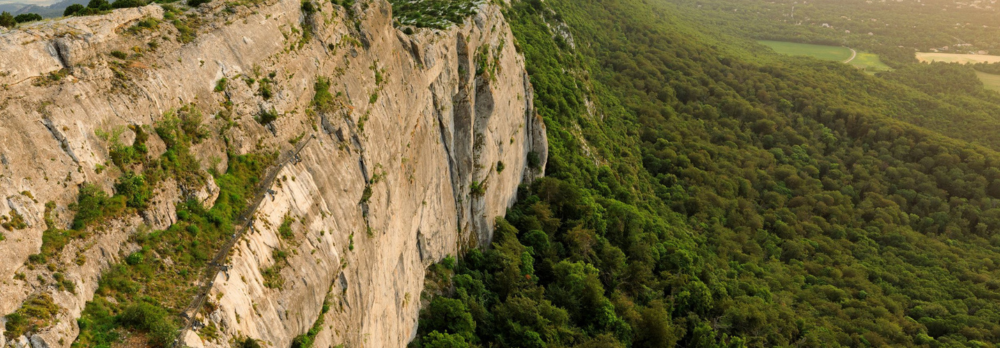 La vie régionale : traditions, terroir et initiatives locales